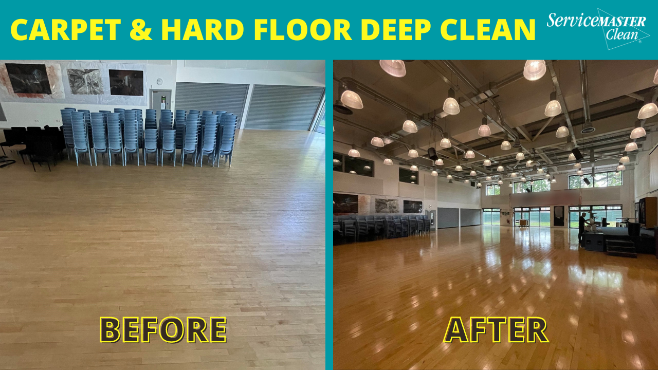 Day In The Life – Carpet & Hard Floor Deep Clean